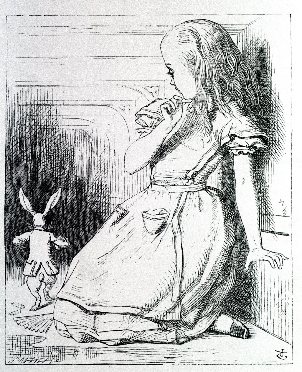 Alice et le rabbit - ルイス・キャロル著『不思議の国のアリス