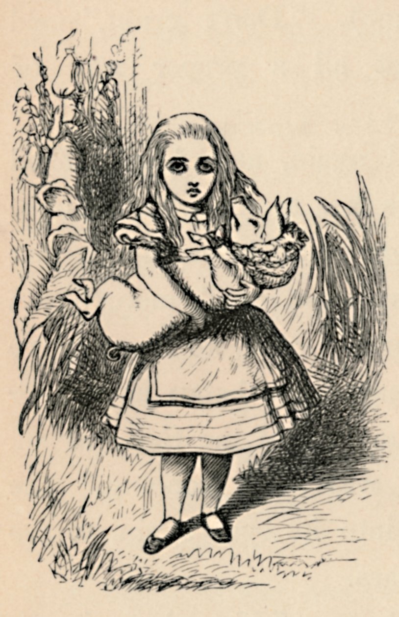 1889年に豚を腕に抱えたアリス 作： ジョン・テニエル