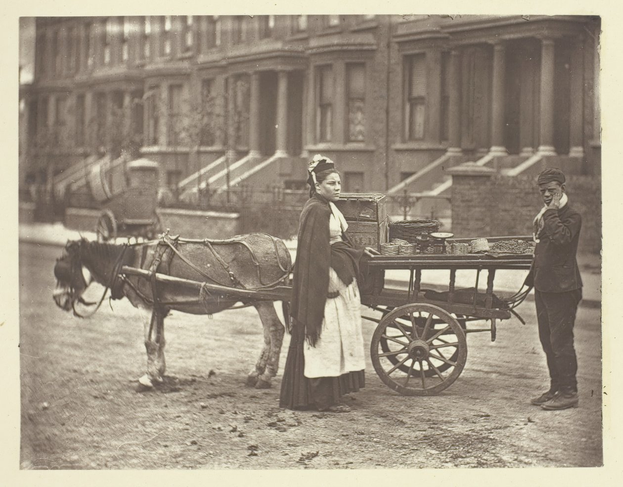 イチゴです。All Ripe!オール・ライプ！, 1881. 作： ジョン・トムソン