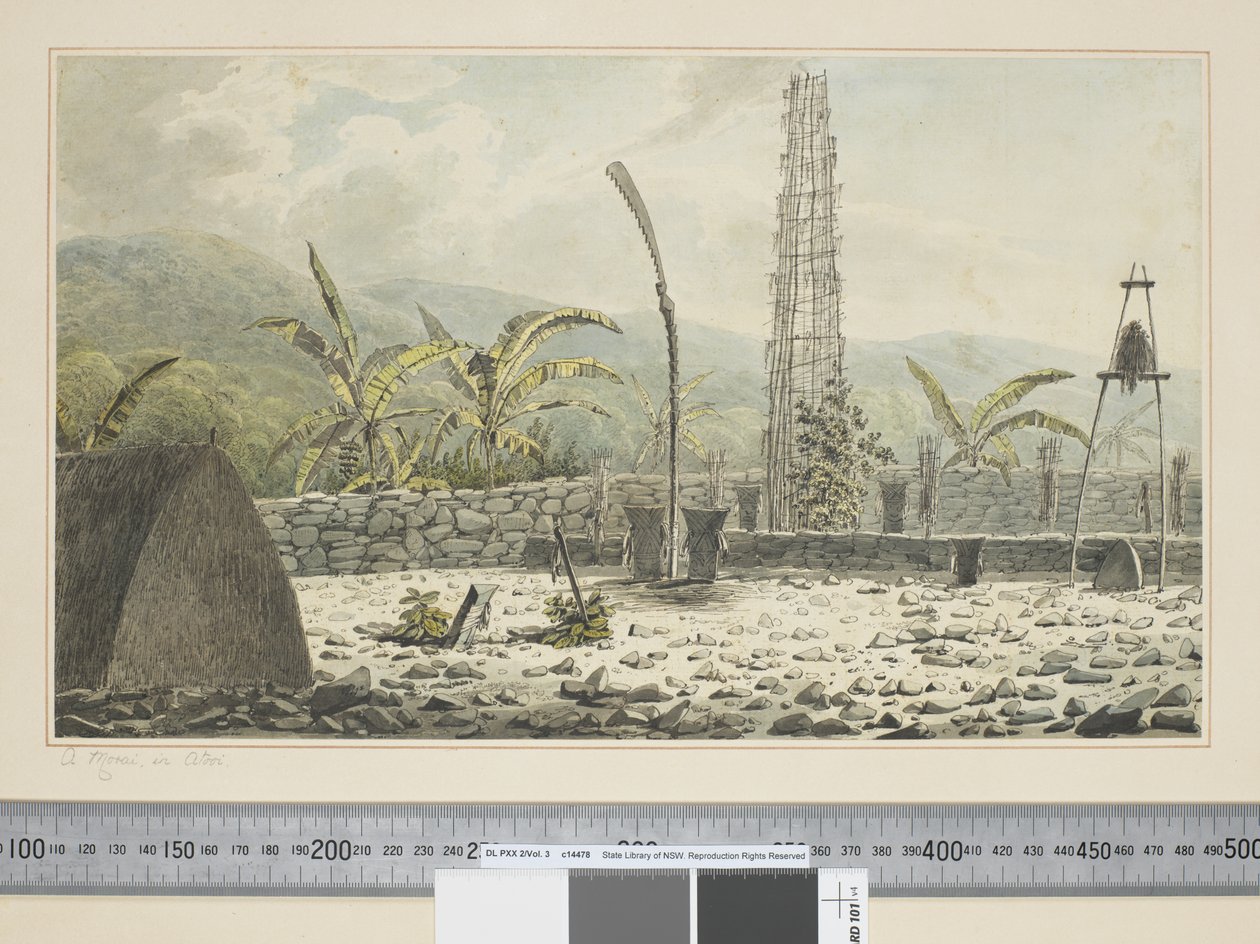 F.17 アトゥイのモライ、1773-84年頃（水彩画 作： ジョン・ウェバー