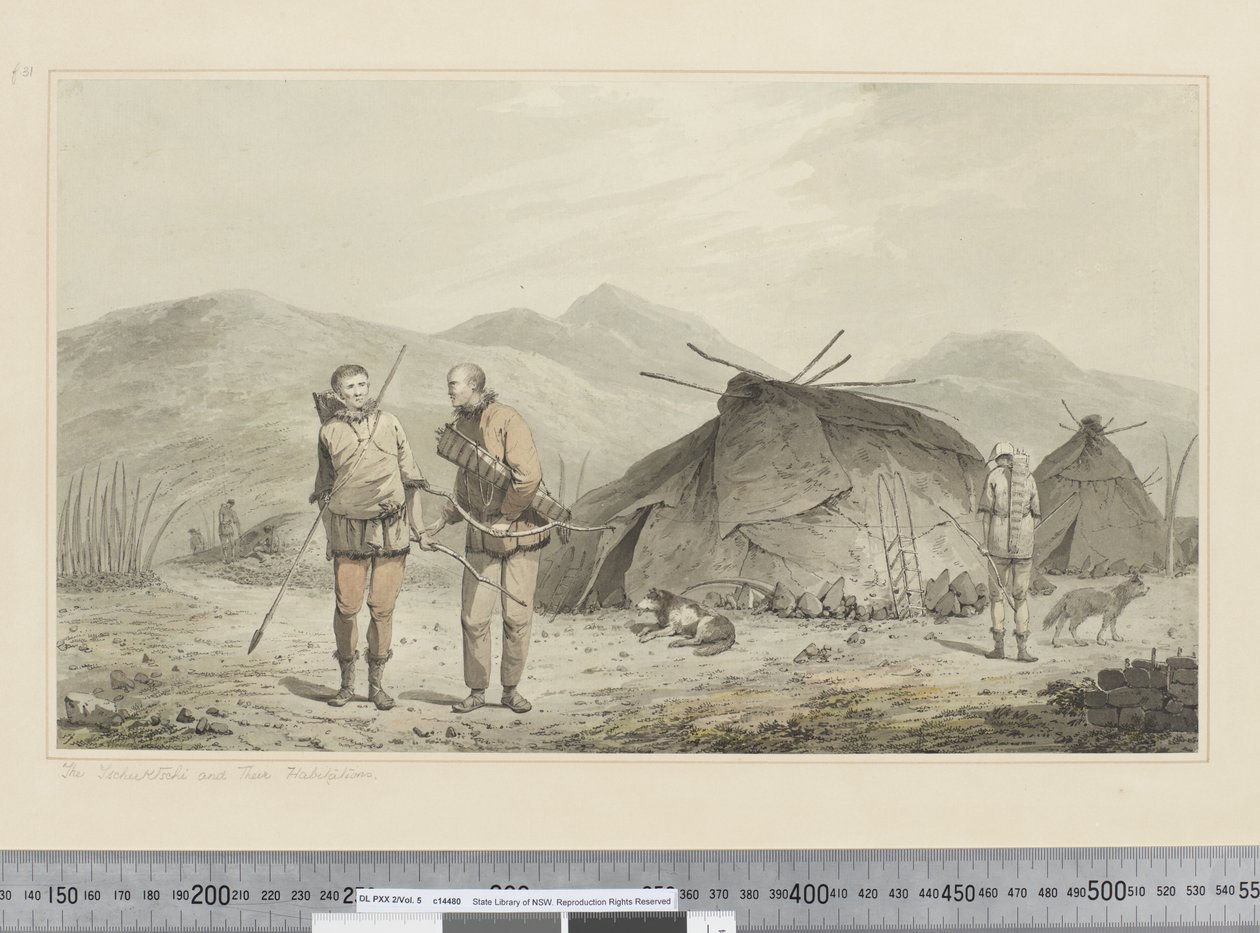 F.31 「ツクツクボウシとその居住地」 1773-84年頃 （水彩画 作： ジョン・ウェバー