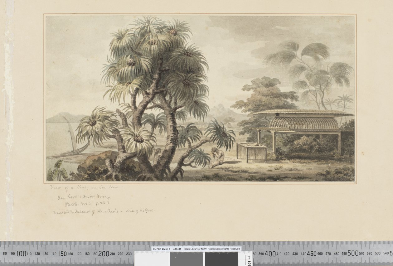 F.46 「海辺の墓の眺め」 1783-84年頃 （水彩画 作： ジョン・ウェバー