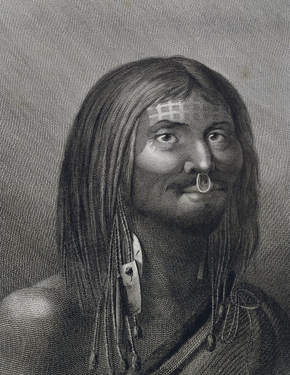 ヌートカ海峡のポリネシア人男性。ジョン・ウェバー（1752～1793）がジェームズ・クック（1728～1779）の第3次航海（1776～1779）中に描いたイラスト。 作： ジョン・ウェバー
