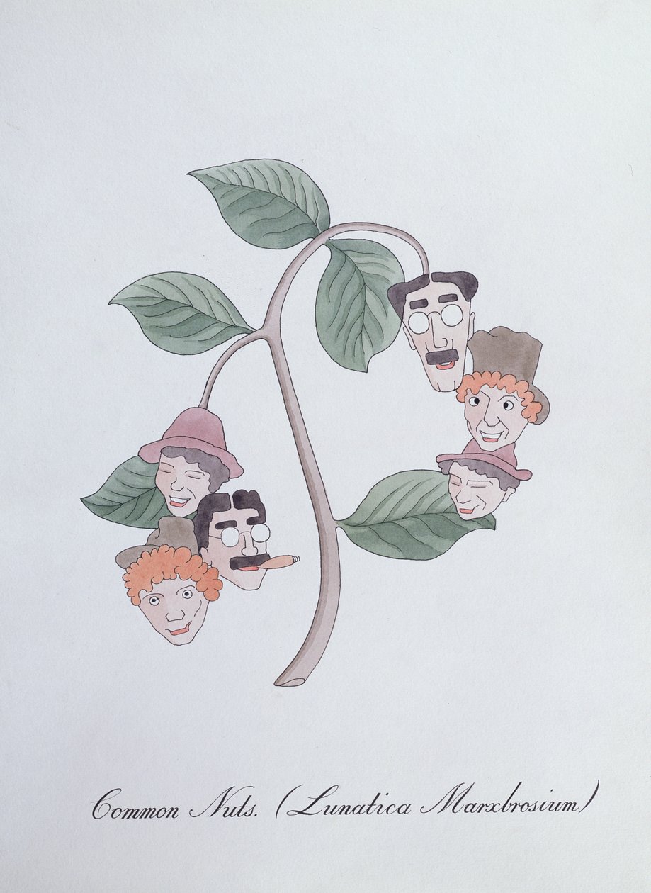 一般的なナッツ。 (Lunatica Marxbrosium)、John Weir 作「The Bogus Book of Botany」の挿絵 作： ジョンウィアー