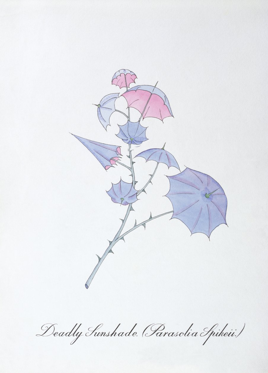致命的なサンシェード (Parasolia Spikeii.)、John Weir 作の「The Bogus Book of Botany」の挿絵 作： ジョンウィアー