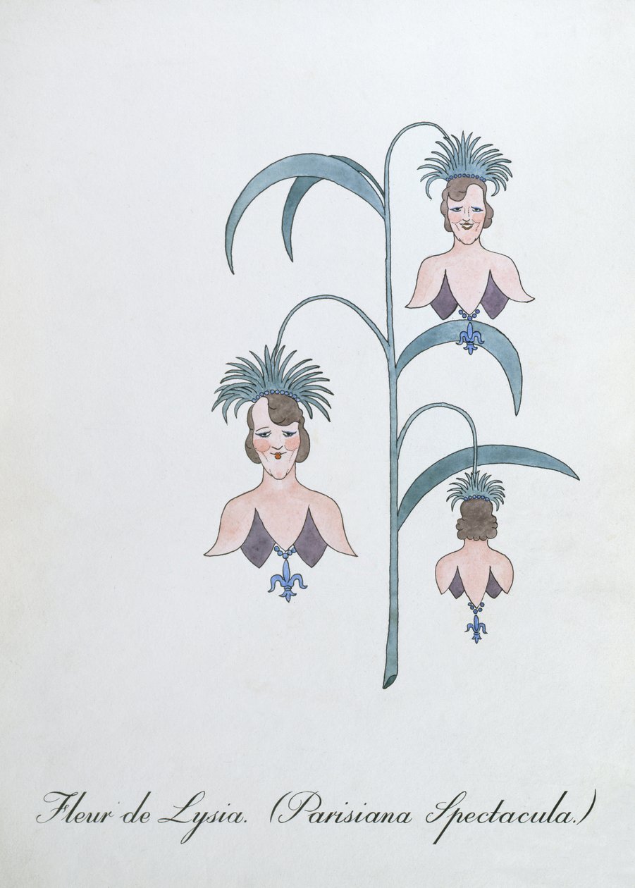 Fleur de Lysia (Parisiana Spectacula.)、John Weir 作「The Bogus Book of Botany」の挿絵 作： ジョンウィアー
