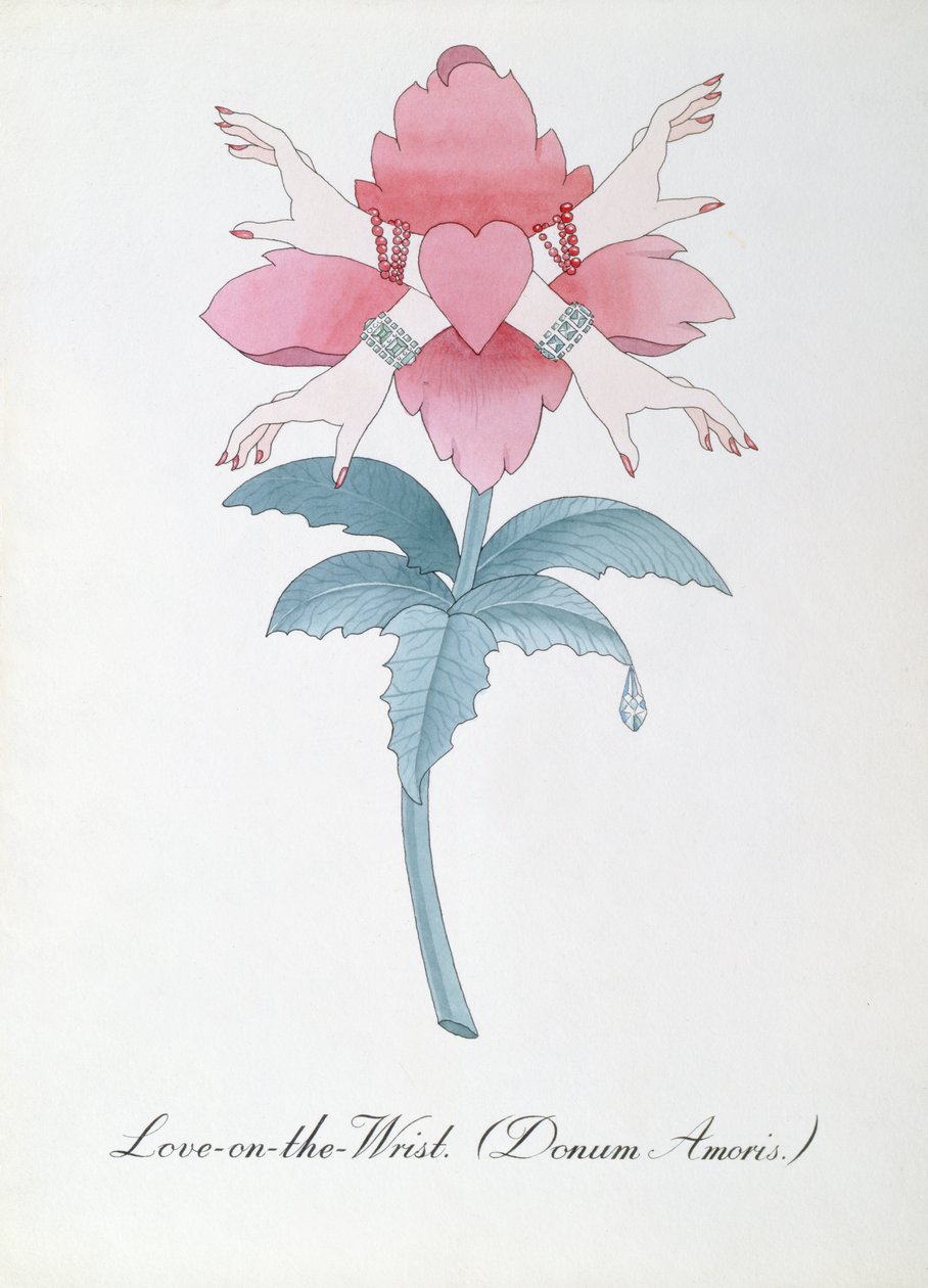 ジョン・ウィアーによる「The Bogus Book of Botany」のラブ・オン・ザ・リスト（ドナム・アモリス）のイラスト 作： ジョンウィアー