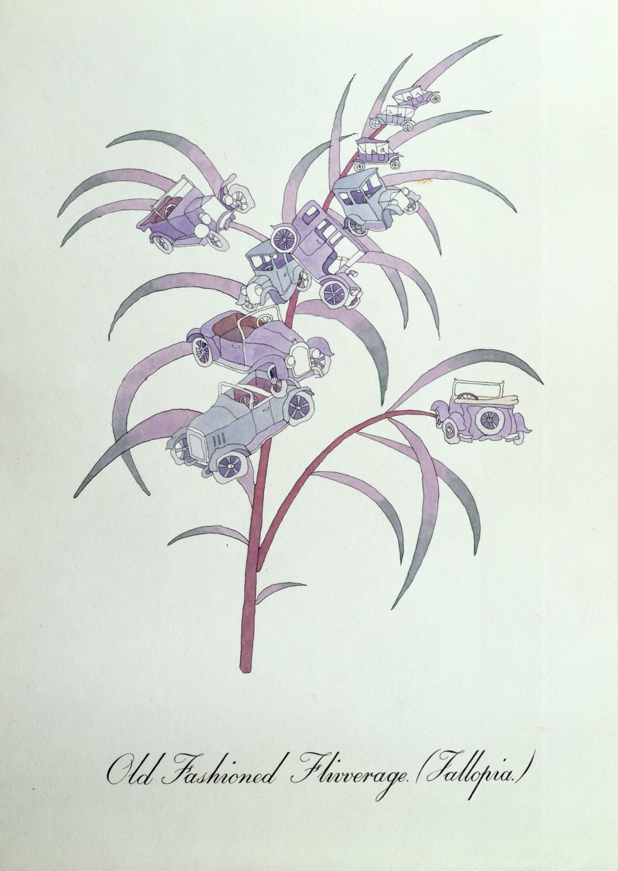 昔ながらの Flivverage (Fallopia.)、John Weir 作の「The Bogus Book of Botany」の挿絵 作： ジョンウィアー