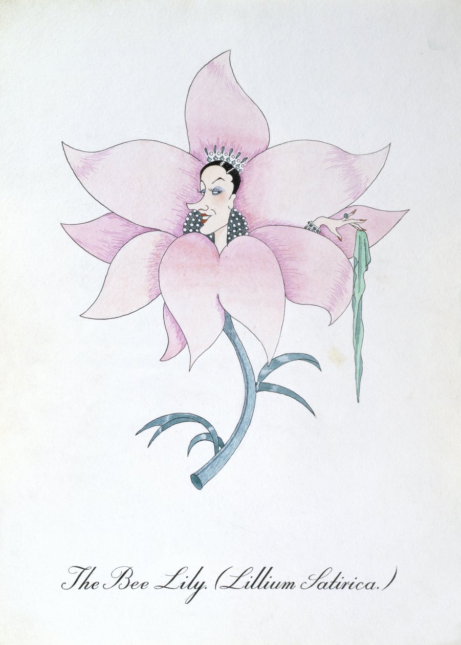 ハチユリ (Lilium Satirical.)、John Weir 作「The Bogus Book of Botany」の挿絵 作： ジョンウィアー