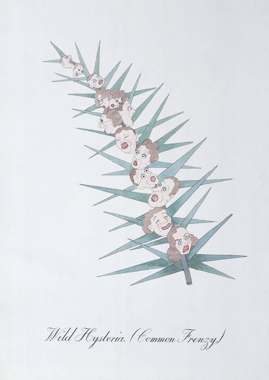 野生のヒステリー (Common Frenzy.)、John Weir 作「The Bogus Book of Botany」の挿絵 作： ジョンウィアー