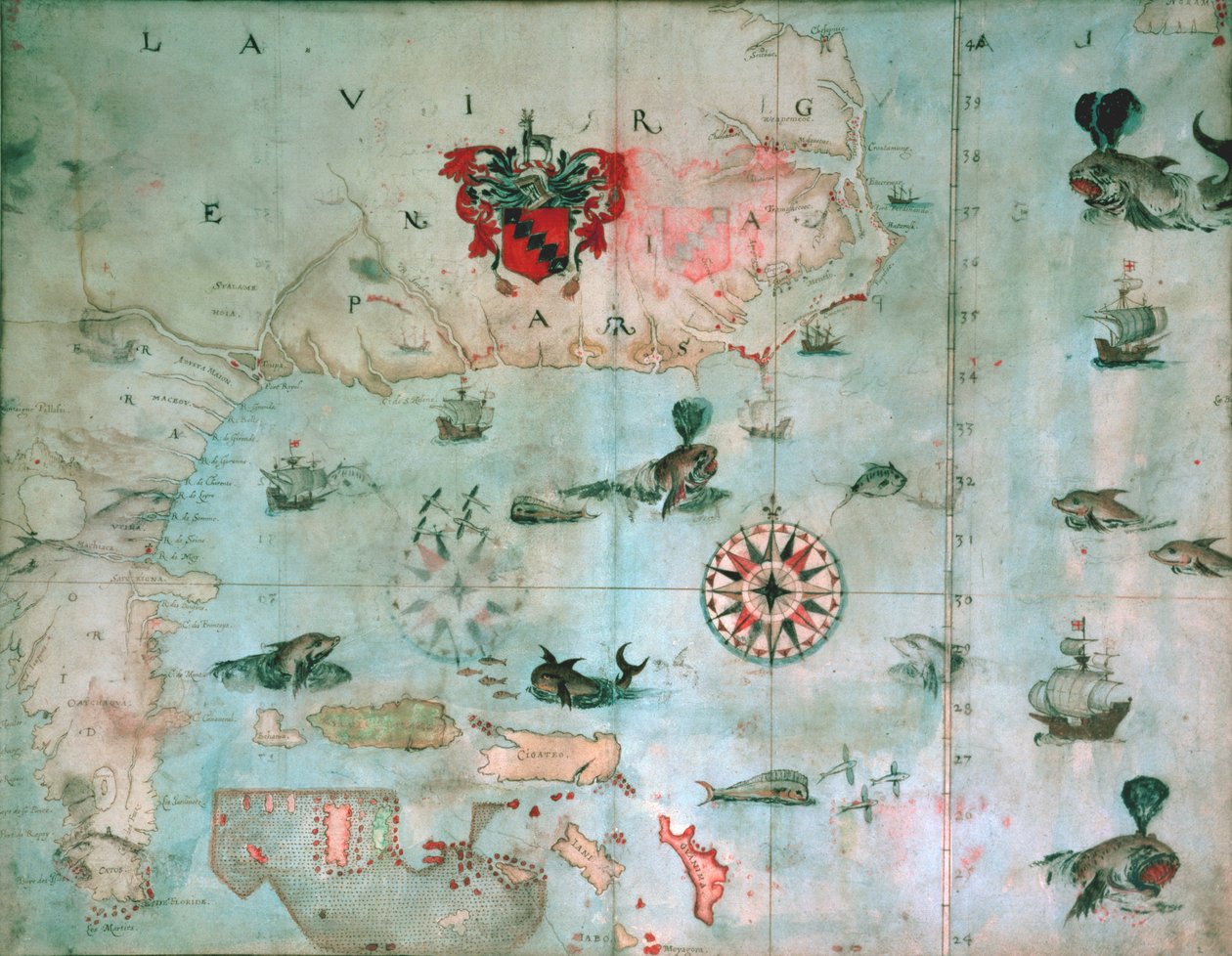 フロリダ州チェサピーク湾、1585～1603年頃 作： ジョンホワイト