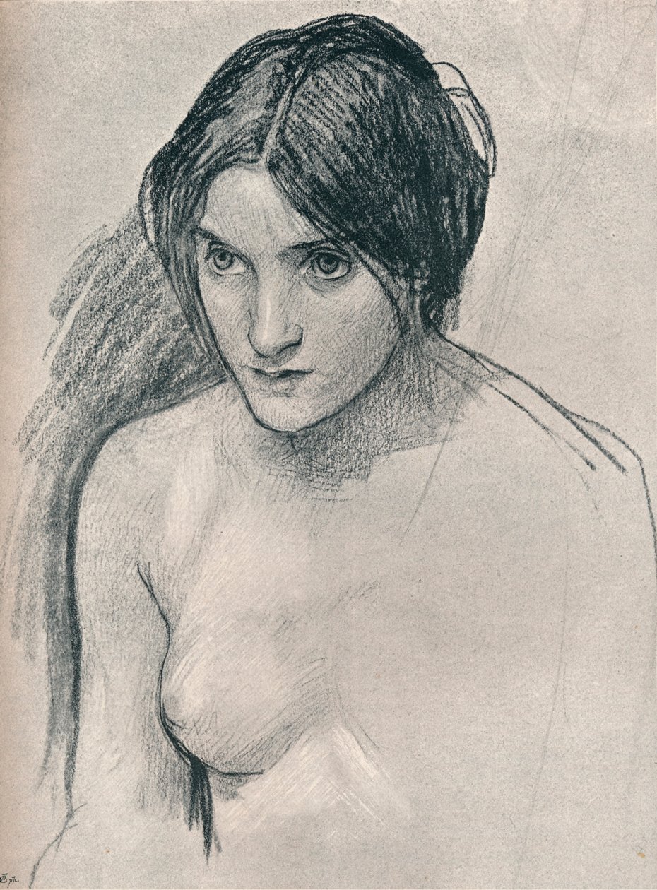 絵画ハイラスとニンフの研究、c1896 作： ジョン・ウィリアム・ウォーターハウス