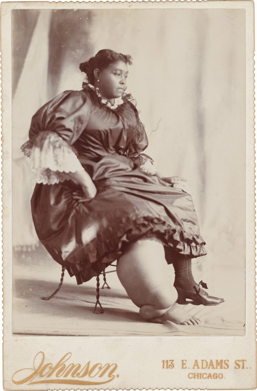 女性の肖像,c.1890年（写真） 作： ジョンソン
