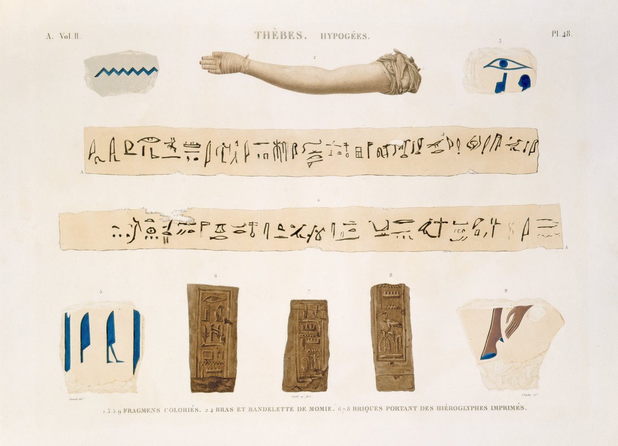 チャールズによって刻まれた「エジプトの説明」のII巻のテベ、ハイポギーズのプレート48、象形文字とミイラの腕のイラスト、1822年（アクアチント） 作： ジョマード