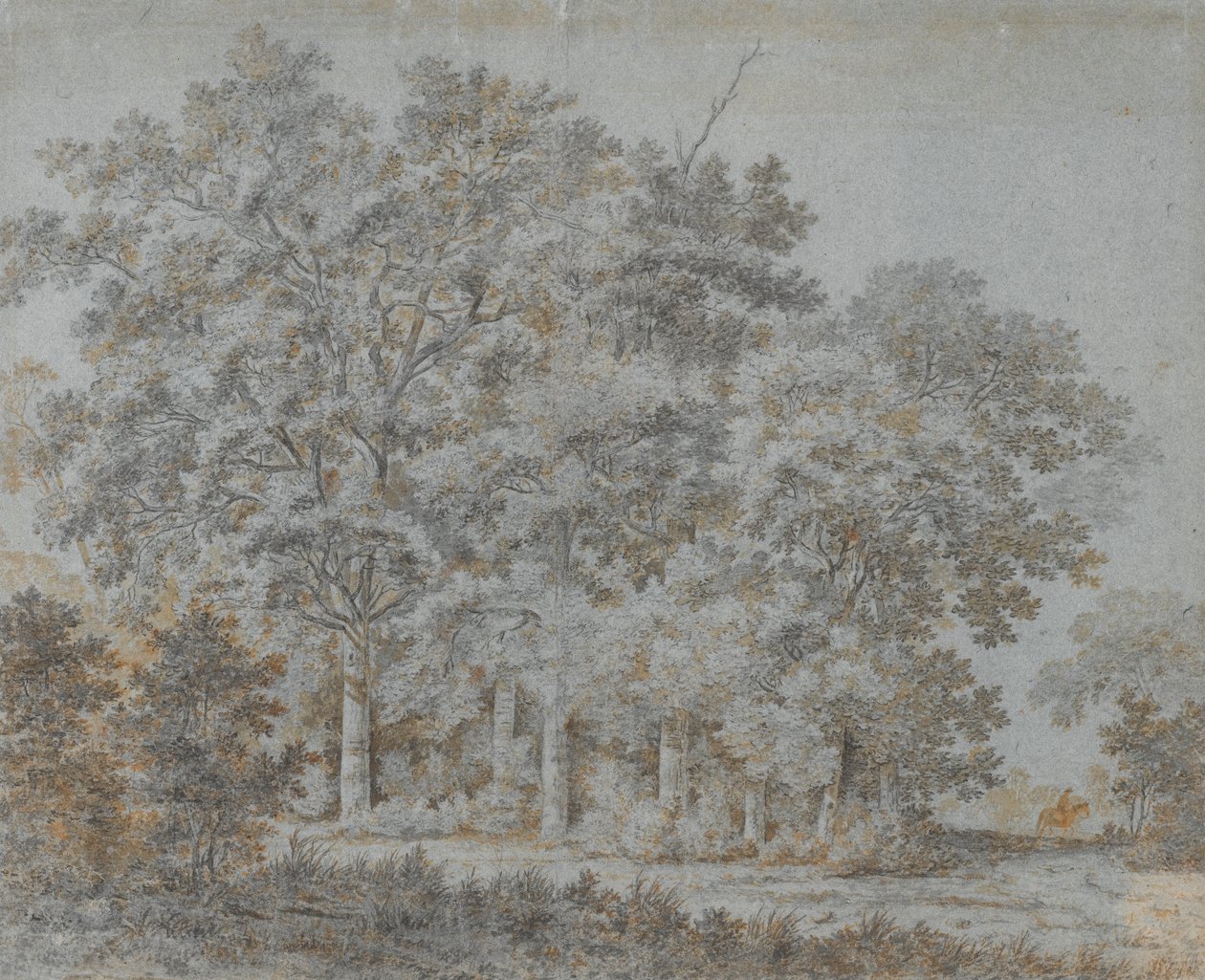 森とライダー 作： ヨリス・ファン・デル・ハーゲン