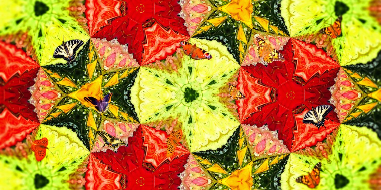 Criaturas: borboletas no jardim de rosas 作： ジョセフ・ヨハン・マイケル