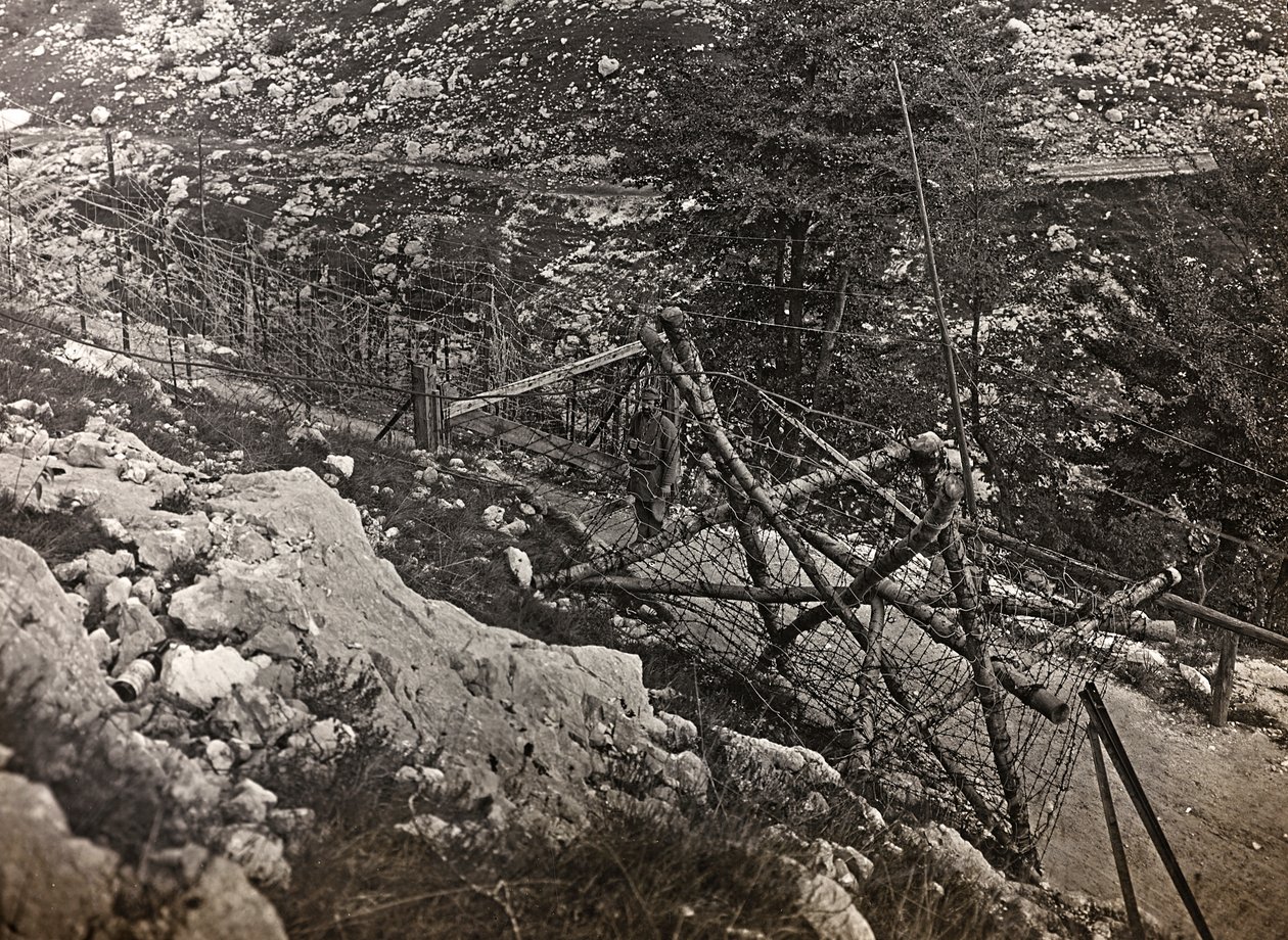 アルバム "Meine weltkriegs - Erinnerungen South-West Front (Carinthia, Italien, South Tyrol) (私の世界大戦-南西戦線の思い出（カリンシア、イタリア、トレンティーノ・アルト・アディジェ）1915/03/1931-12/11/1918 - Josef Zohles Wien ": 鉄条網（モノクロ写真 作： ヨーゼフ・ゾーレス