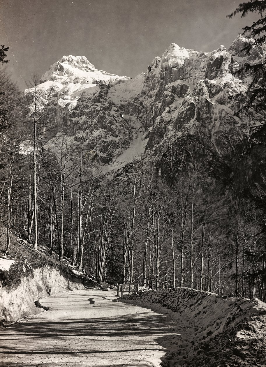 アルバム "Meine weltkriegs - Erinnerungen South-West Front (Carinthia, Italien, South Tyrol) (私の世界大戦-南西戦線の思い出（カリンシア、イタリア、トレンティーノ・アルト・アディジェ）1915/03/1931-12/11/1918 - Josef Zohles Wien ": 山道（モノクロ写真）。 作： ヨーゼフ・ゾーレス