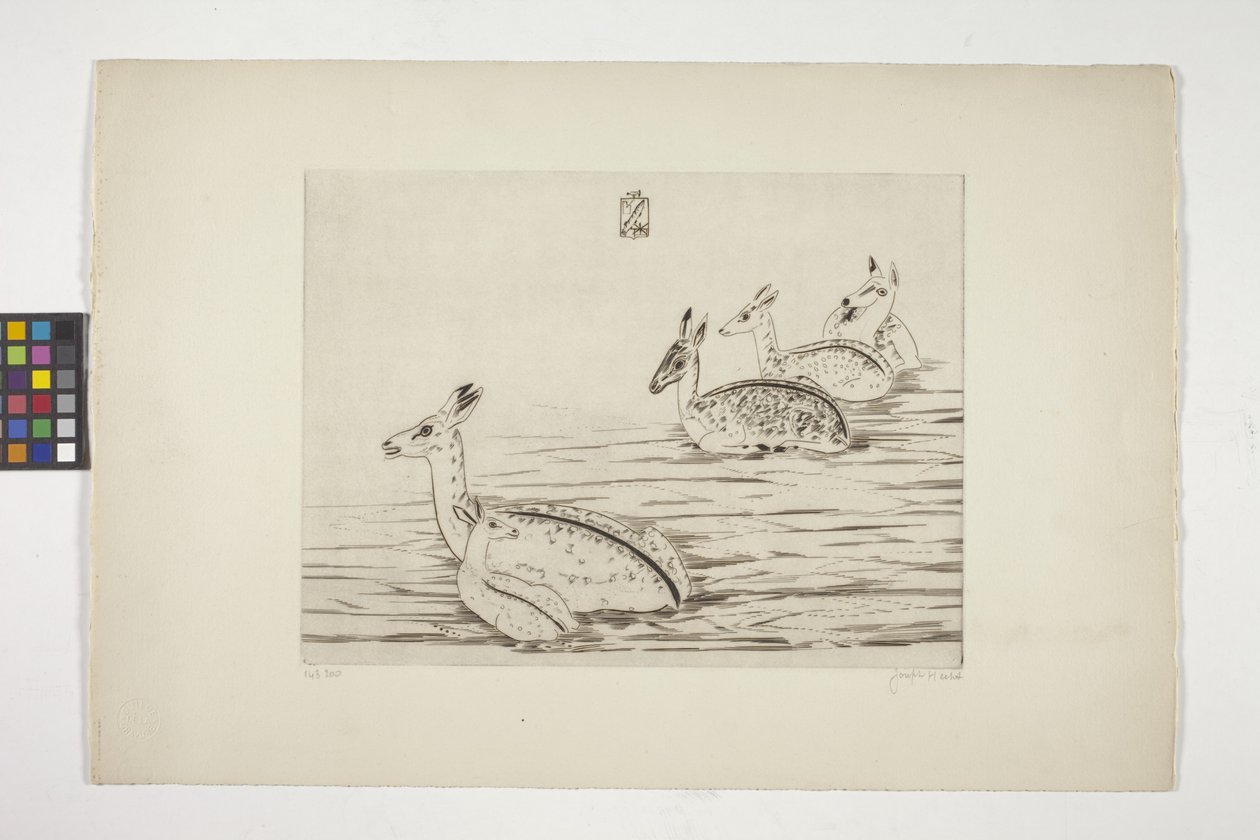 Cerfs Indochinois I (インドシナ鹿 I) (クリーム織り紙に彫刻) 作： ジョセフ・ヘクト