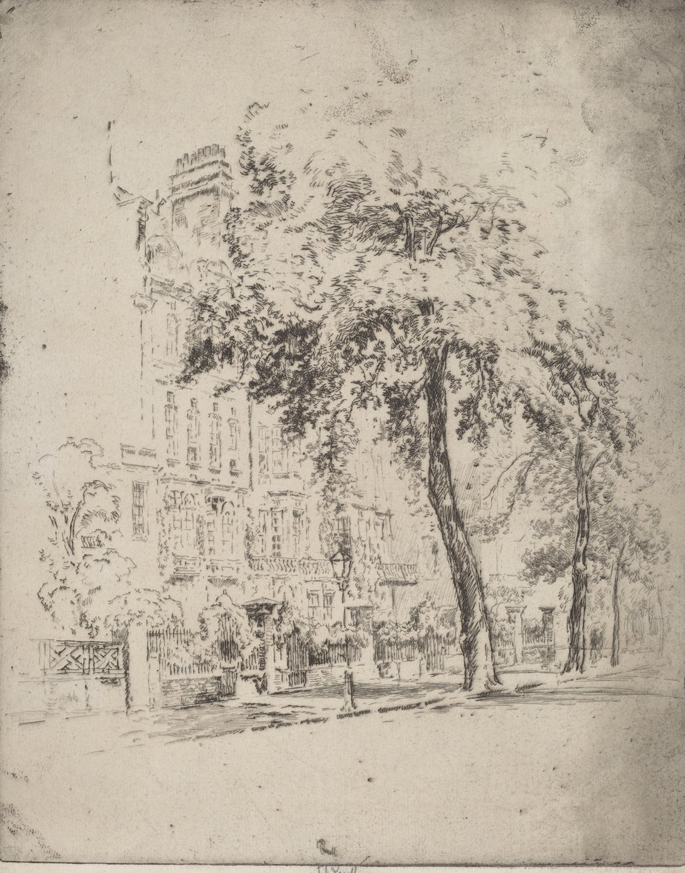 Big Tree, Cheyne Walk, 1906年。 作： ジョセフ・ペネル