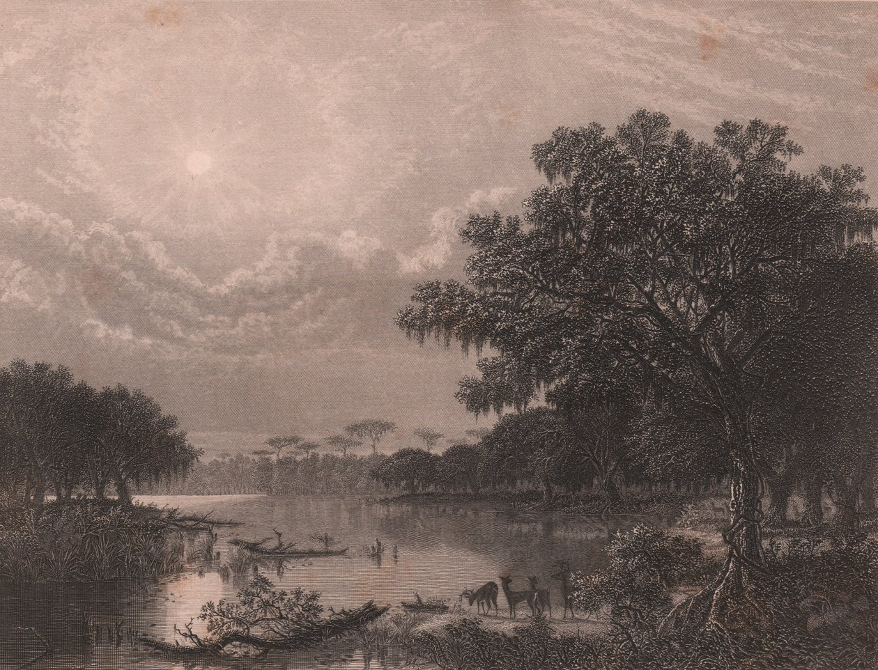 ルイジアナ湾、アメリカ、ジョセフ・ラスリング・ミーカー（1827-1889）の絵画にロバート・ヒンシュルウッド（1812-1875年以降）が描いたスチール・エングレーヴィング、約16x18cm。 作： ジョセフ・ラスリング・ミーカー
