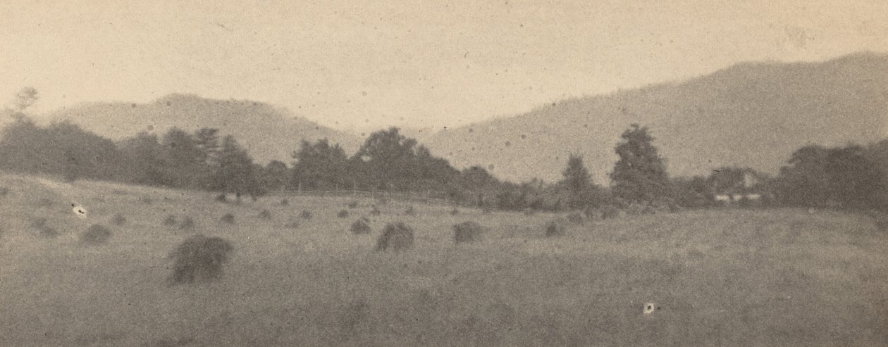 木々と山のある風景,c.1900年（写真） 作： ジョセフ・ケイリー