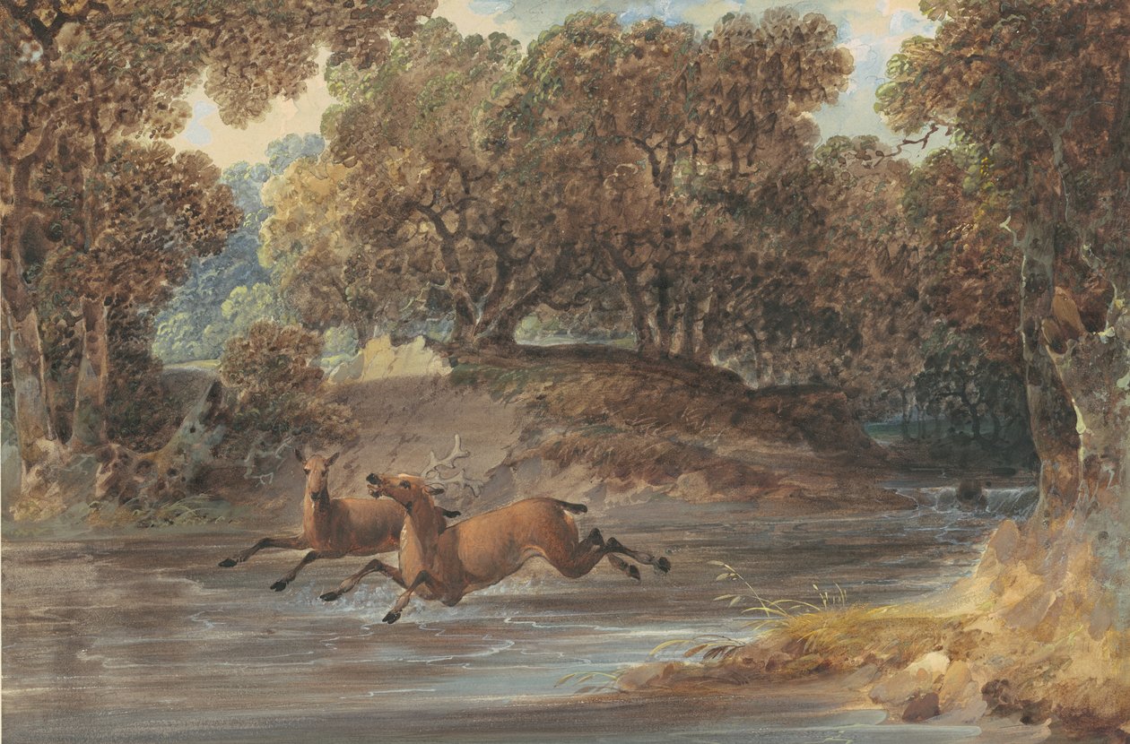 ノースカロライナ州ディアのある風景、c.1820（紙のグラファイトの上にトイレとガッシュ） 作： ジョシュア・H・ショー