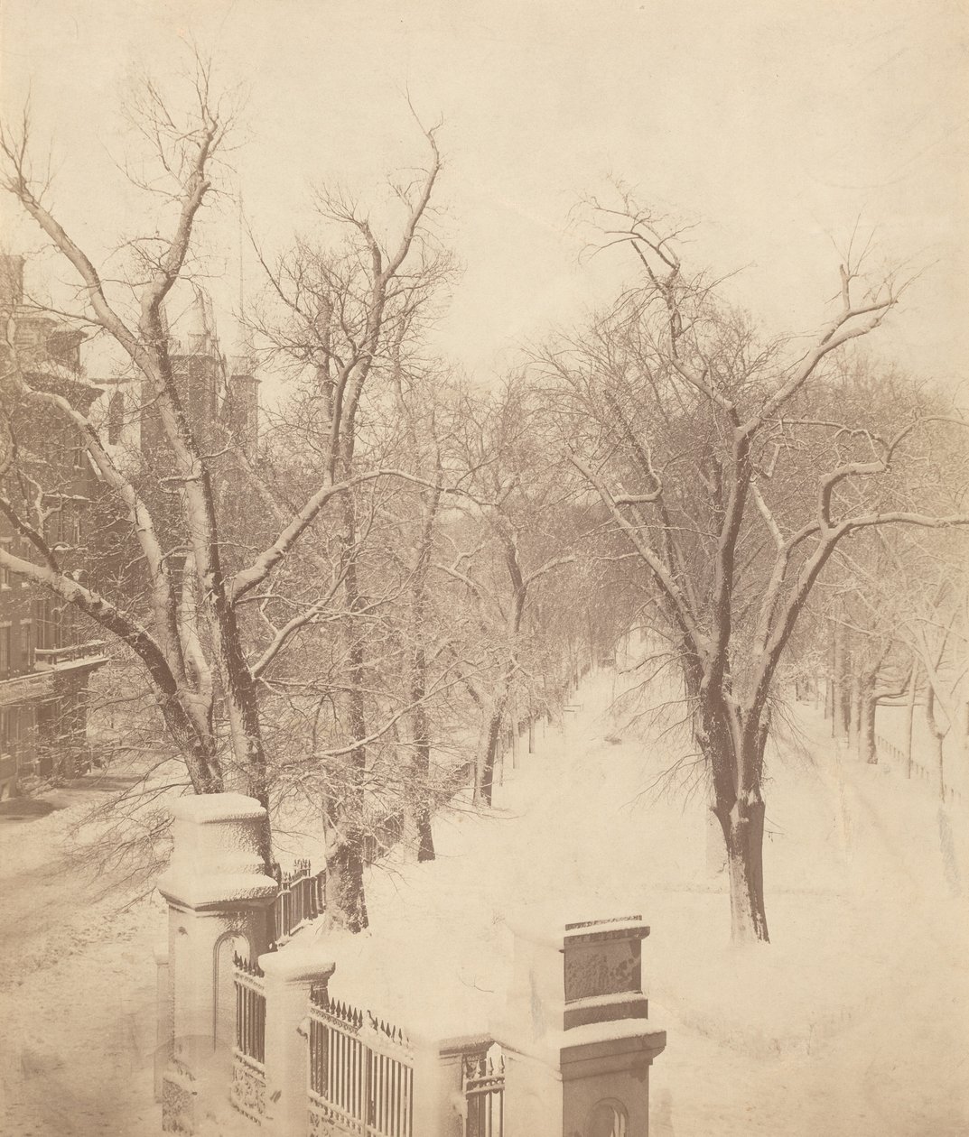 ボストン・コモンの雪景色、1850年代（写真） 作： ジョサイア・ジョンソン・ホーズ