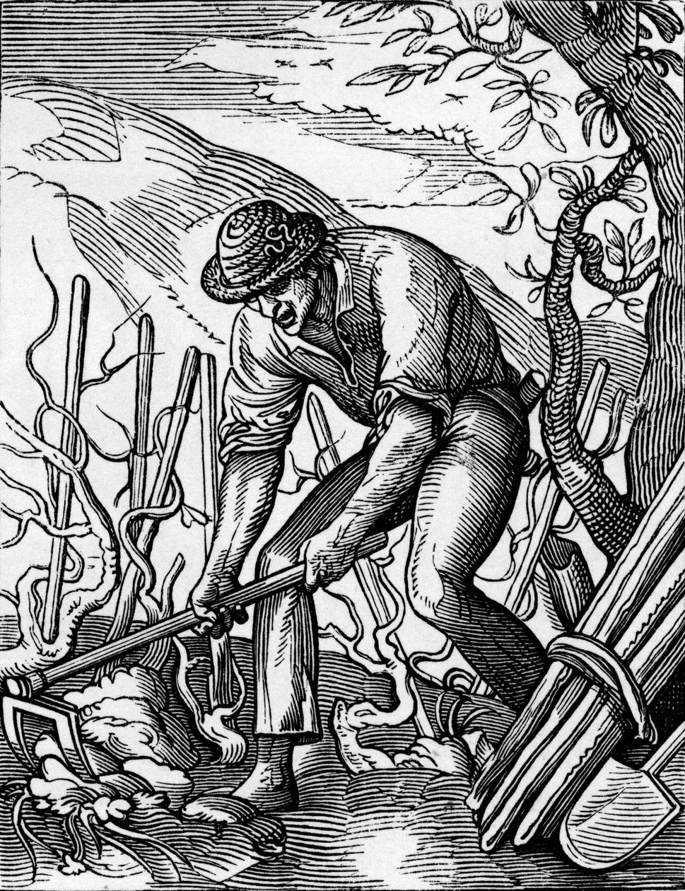 The Winegrower   1464032   ja       japanese Successfully Translated  Original: Italy, Piedmont Region, Alessandria Province, Serralunga di Crea, Sacro Monte di Crea, Sanctuary of Santa Maria Assunta, Chapel of St Margaret of Antioch, Fresco depicting Pale 作： ジョスト（後）アンマン