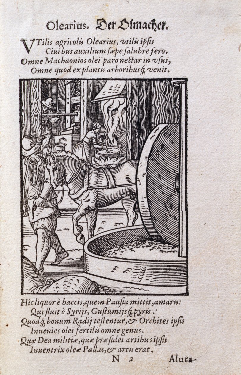 オイルメーカー、ハンス・サックス（1494-1576）の詩による「De Omnibus Illiberalibus Sive Mechanics Artibus」のラテン語版のイラスト。1574年（木版）。 作： ヨーストアンマン