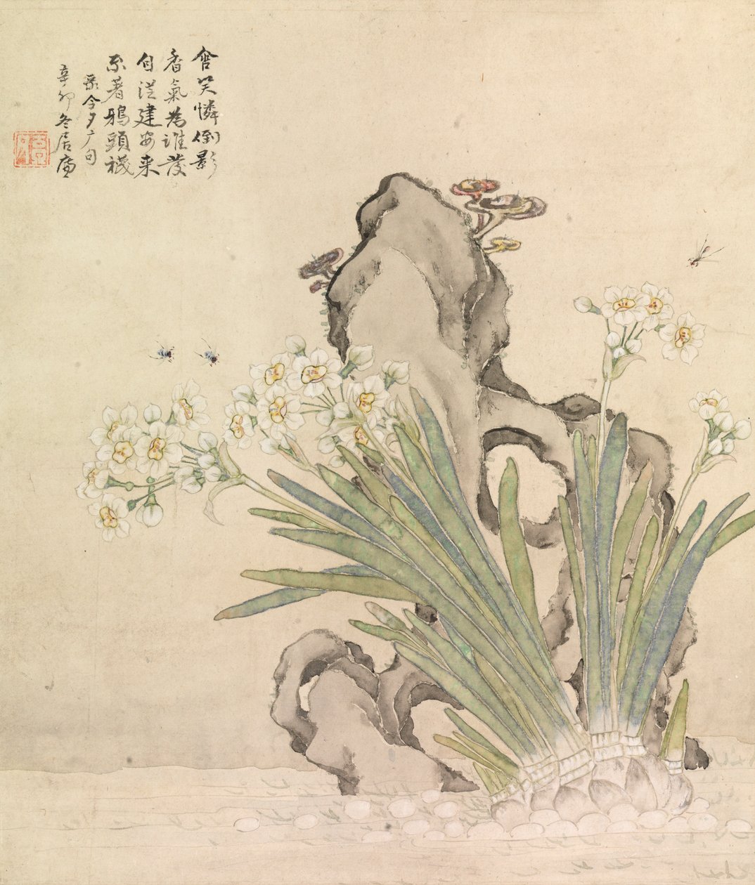 水仙、岩、蜂、霊芝 作： ジュリアン