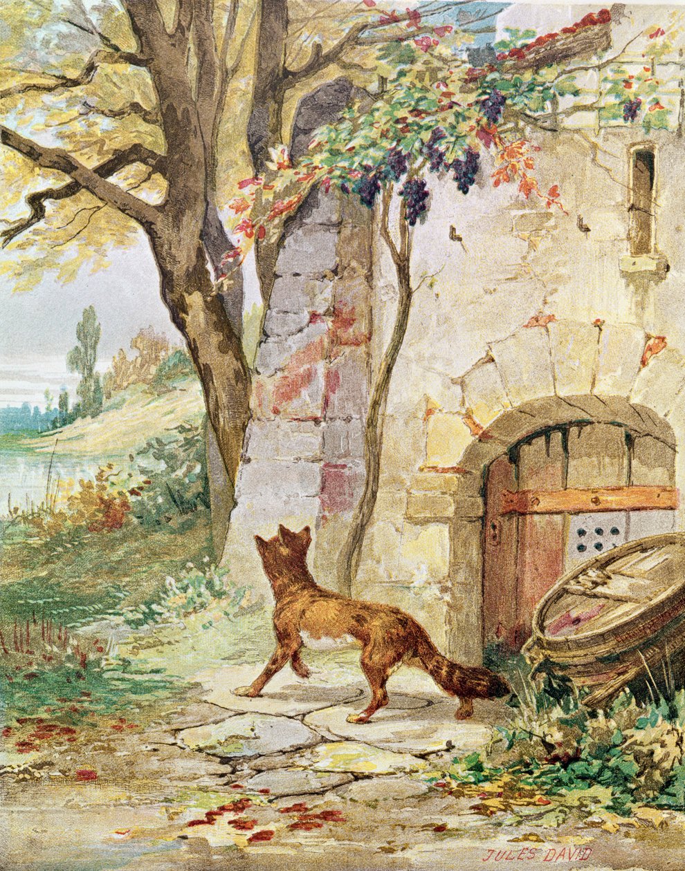 キツネとブドウ、ジャン・デ・ラ・フォンテーヌの「寓話」のイラスト（1621-95） 作： ジュール・デイビッド