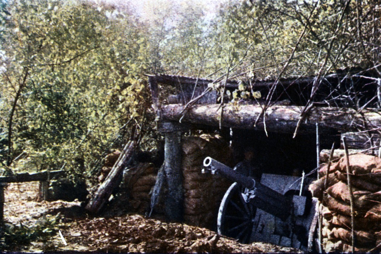 1916年9月のヴェルダンの戦いの間に木の下に偽装されたフランス製75 mm砲（オートクローム） 作： ジュール・ジェルヴェ・コートテルモント