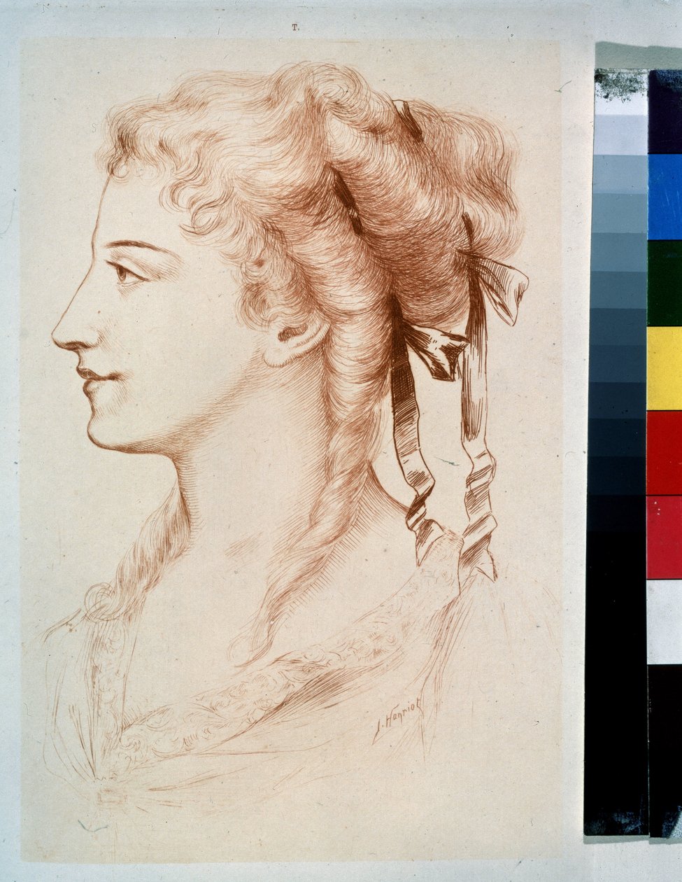 「若い女性のプロフィール」（若い女性の肖像） ジュール・アルマン・ハンリオによるペン画（1853-1877） 19世紀 国立野外博物館 ペテルゴフ、サンクトペテルブルク 作： ジュールスアルマンドハンリオット