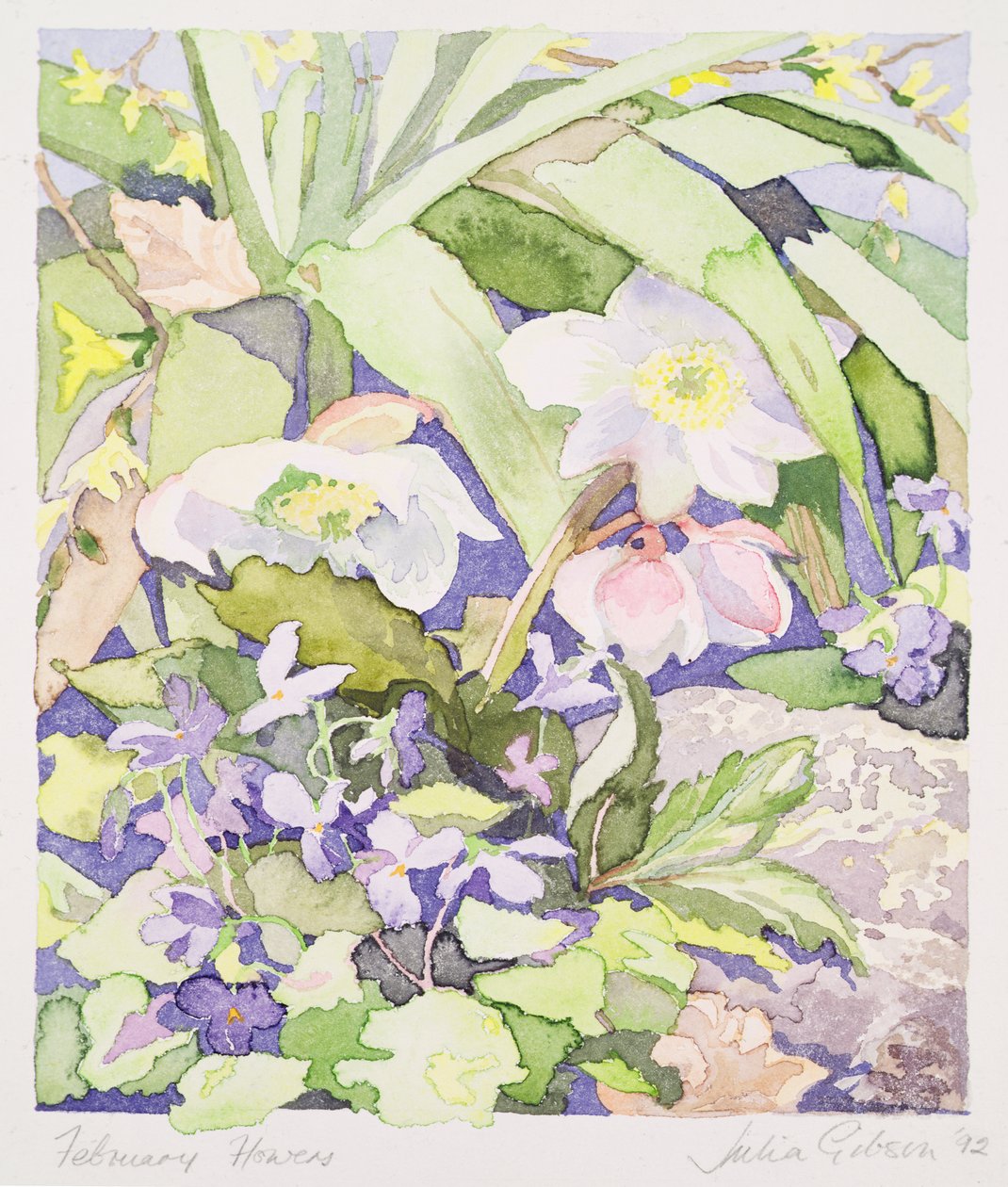 2月の花 作： ジュリア・ギブソン