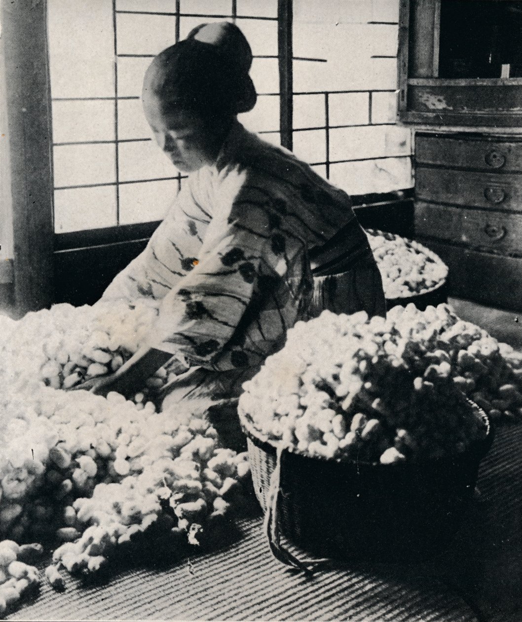 5000カイコが8シルクの絹に125ポンドの桑を食べ、1つの着物を作る、c1900、1921 作： ジュリアンレナードストリート
