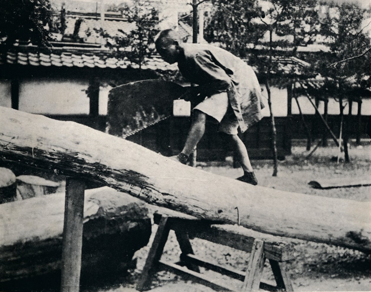 鋸引きと滑走は、駆動モーションではなく引きで行われます、c1900、1921 作： ジュリアンレナードストリート