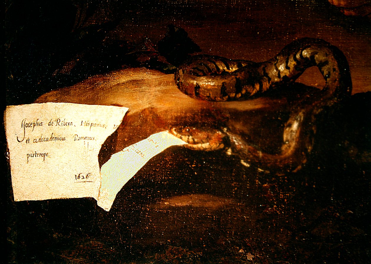 酔ったシレヌスの詳細、1626（434192の詳細） 作： フセペ・デ・リベラ