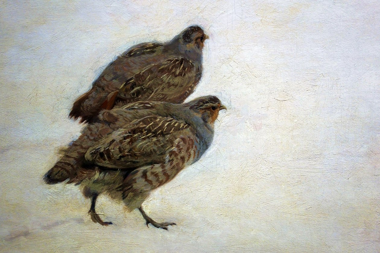 インコ 作： JózefChełmoński
