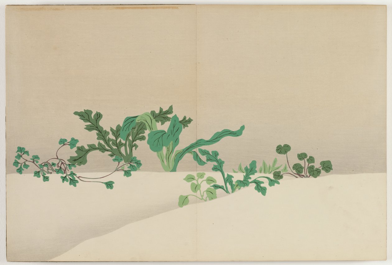 百世の花（ももよぐさ）：早春の七草（ななぐさ） 作： 上坂雪花