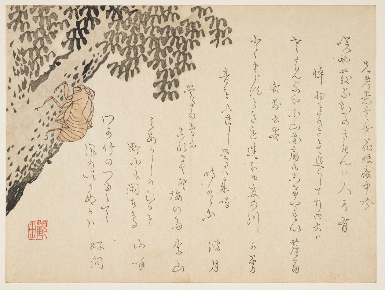 蝉の殻、c.1848-53（カラー木版画） 作： かん玉ハンガン