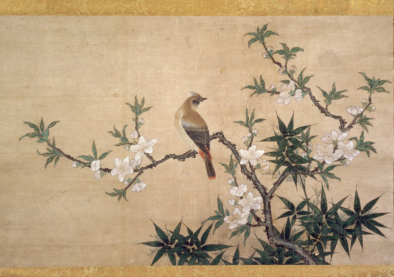桃の花の鳥、1550〜60年頃（紙に水彩） 作： 狩野幸信