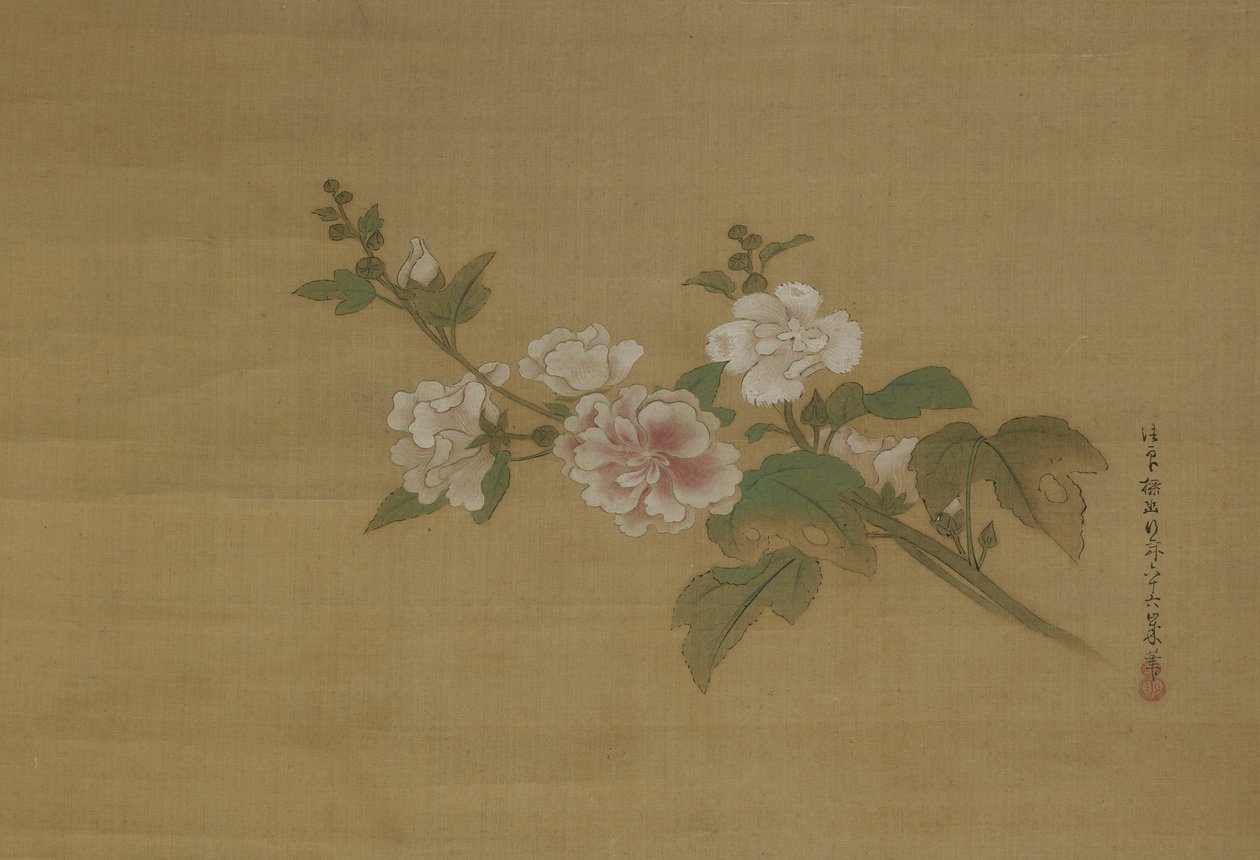 開花ハイビスカスの枝、江戸時代（絹の色） 作： 狩野たにゅ