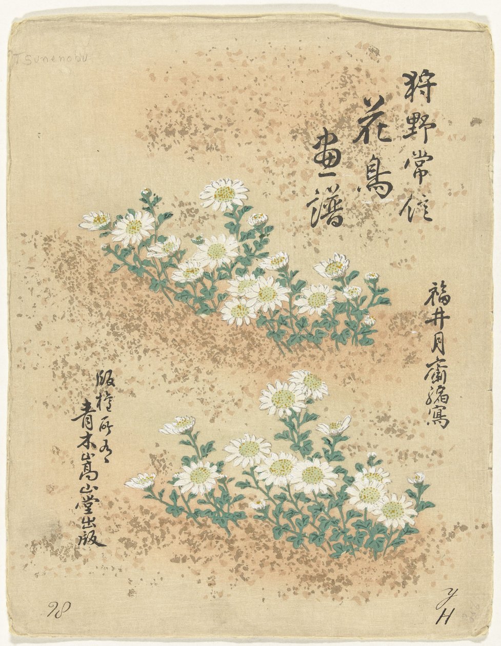索引 狩野常信 花鳥画（シリーズ名） 狩野常信課長画譜 作： 狩野恒信