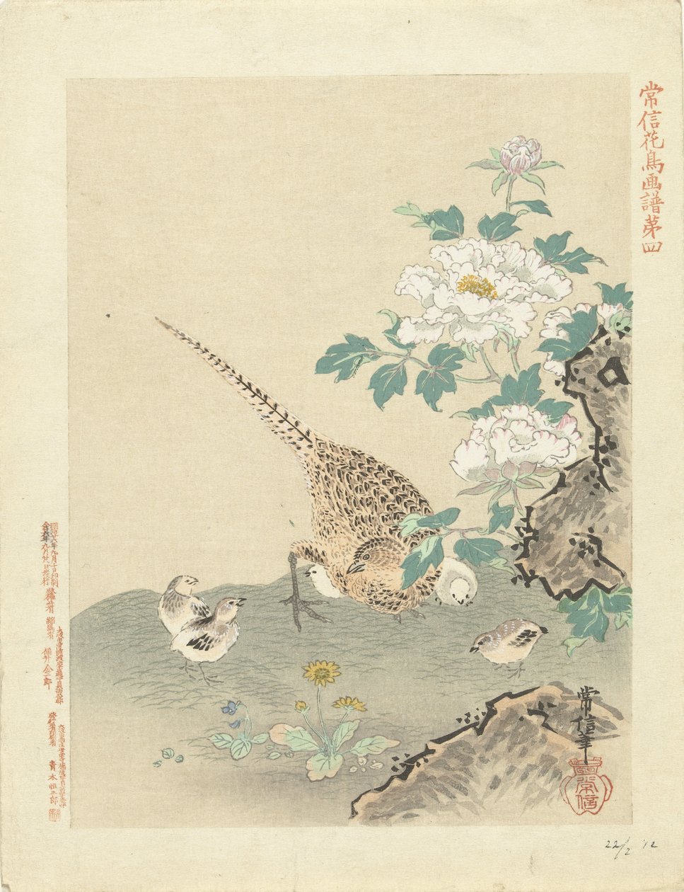 ウズラとひよこ 狩野常信 花鳥画（シリーズ名） 狩野常信課長画譜 作： 狩野恒信