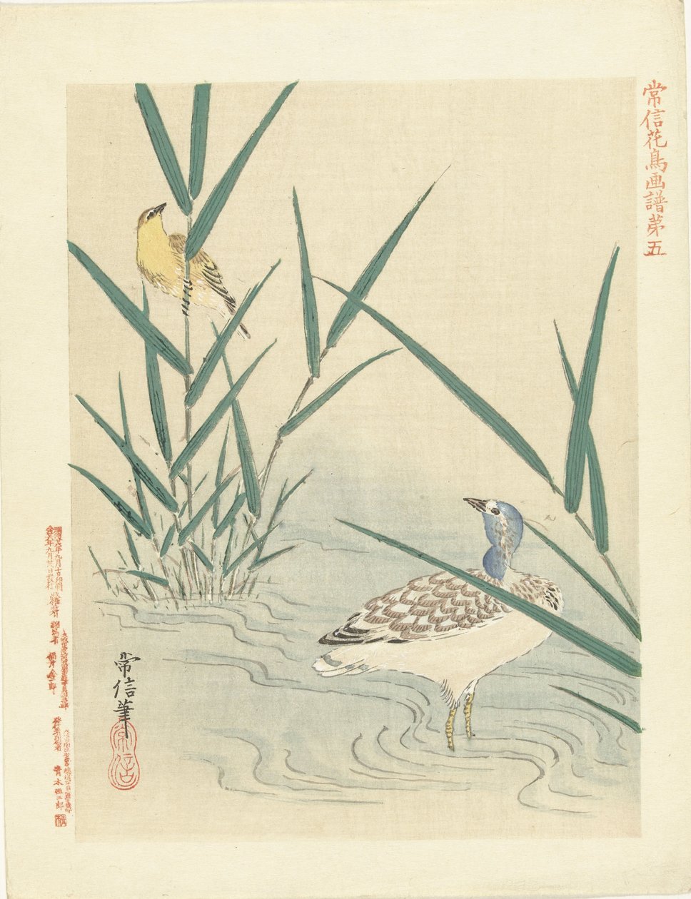 黄色い鳴き鳥を見つめる水鳥 狩野常信 花鳥画（シリーズ名） 狩野常信課長画譜 作： 狩野恒信