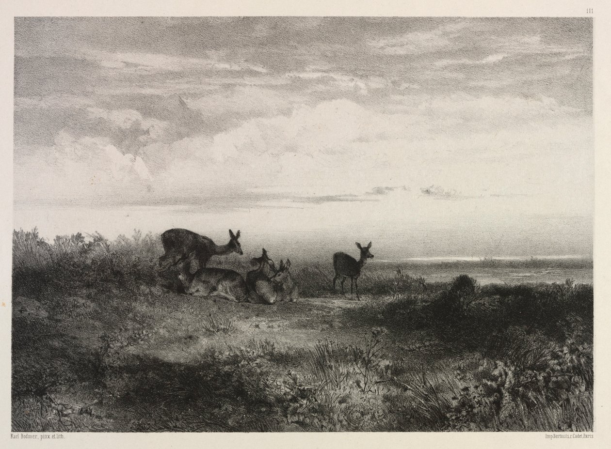 鹿のいる風景、c。 1840。 作： カール・ボドマー