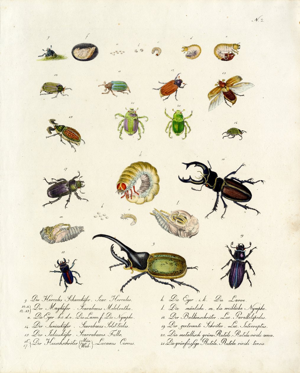  作： Karl Joseph Brodtmann