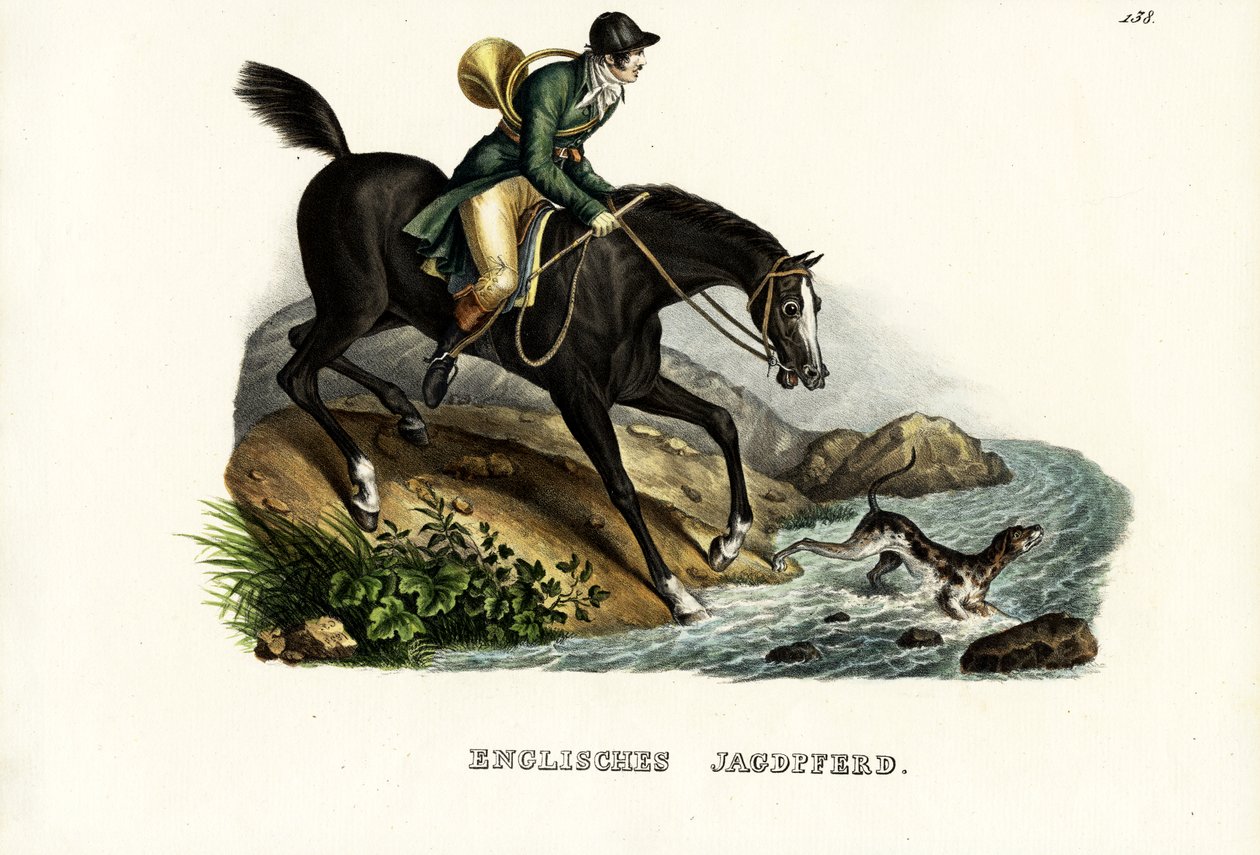 イギリスのハンターホース、1824年 作： Karl Joseph Brodtmann
