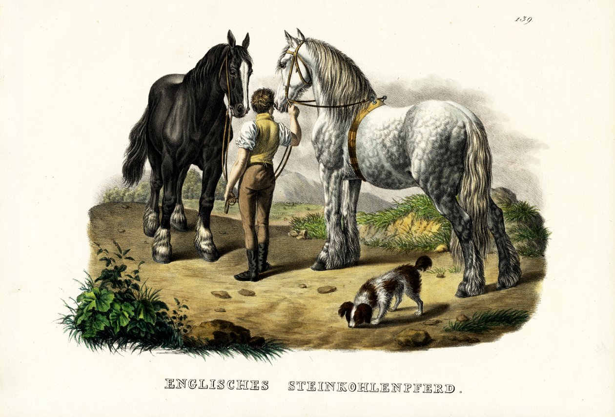 英語のピットホース、1824年 作： Karl Joseph Brodtmann